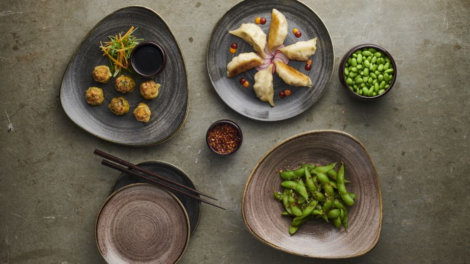 Churchill Asian Fusions Creative cuisines Tableware